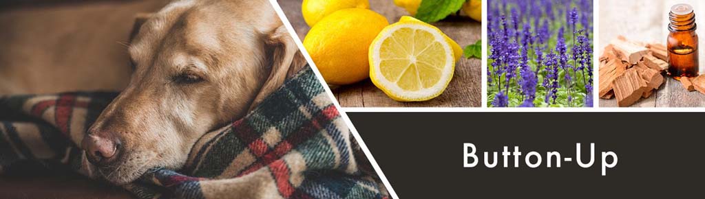 goose-creek-button-up